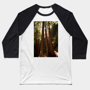 Muir Woods Baseball T-Shirt